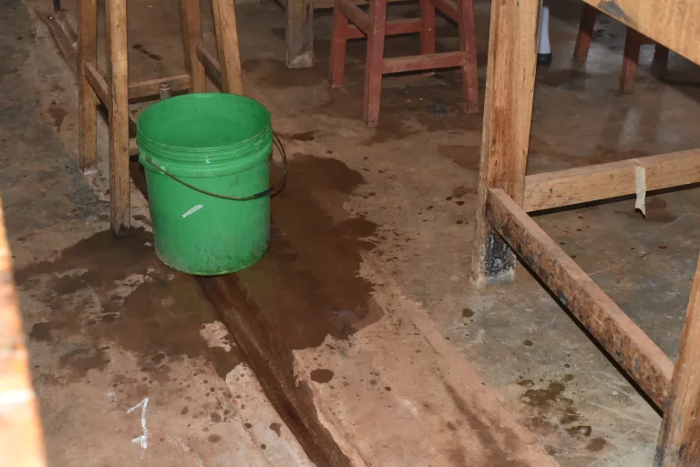 Leaking Room and Bad Drainage