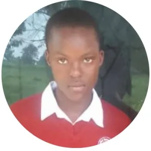 Evelina Scholarship
